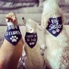 Appareils pour chiens Sécurité bébé Bandana Annonce de grossesse POS Douche de douche Gendre Gender révéler une écharpe blanche noire pour animal de compagnie