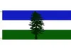 Cheap Cascadia FLAG Flying Decoration 3x5 FT Banner 90x150cm Festival Party Gift 100D Polyester Printed Selling9663901