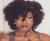 Perucas de cabelo humano de renda encaracolada curta para mulheres negras afro 10 polegadas 130 densidade afro -americana3184302