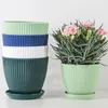 Hausgartentöpfe mit Tablettherter Blumenpflanzentöpfe Multi -Farb -Blumen -Sämling Kindergarten mit Tablett für Innen im Freien in der Innenräume Fu 240409