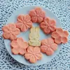 Baking Tools Cookie Mold Stamp Biscuit Cutter Set Of 5 DIY Decoration Utensils Drop