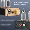 مضخم صوت Douk Audio U10 Hifi Valve Tube Preamp Stereo Aux Aux Aux Audio Preamp 6.35mm/3.5mm Melection Amplifier