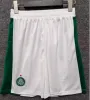 2024 2025 Flamengo Soccer Shorts Palmeiras 24 25 Flamenco Home Away Third Football Pants Fans Person