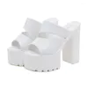 Slippers 17cm Large Size Waterproof Platform Thick With Model Hate Sky High Bottom Flip-flops Female Super Heel