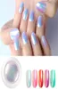 1 Box Mirror Glitter Nagellack Chrom Pigment Schillerndes Diy Salon Micro Holographic Pulver Einhorn Nagelkunst Dekoration Maniküre271809312