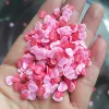 100g Valentine Kırmızı Kalp Ruj Aşk Ayı Bowknot Mektubu Polimer Kil Dilimleri Tırnak Sanatı Slime için Sprinkles