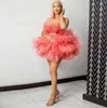 Water Melon Mini Robe Homecoming Robes en tulle Puffy Brothes Courte Robe de bal Robe d'anniversaire PO Shoot Cocktail Robe pour 6268822