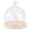 Tallrikar kakestativ med kupol rund som serverar bricka glas display mittpunkt för kakor pajer pastirier ost 12 cm