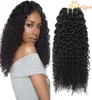 Bampi di tessitura dei capelli brasiliani Affronta il brasiliano estensione dei capelli umani ricci brasiliani 100 Brasiliani Afro Kinky Curly Hair Bund7210528