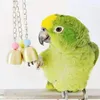 Outros pássaros suprimentos de pássaros 1pc Parrot Toy pendurado 3 sinos Chain gaiola picada tocando sons brinquedos resistentes ao produto