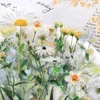 Enveloppe cadeau fleurs autocollant 40 morceaux / emballage Plant de fleurs fraîches transparente étanche de marguerite étanche décoration de scrapbooking