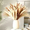 Decorative Flowers 90/110pcs Dried Natural Pampas Tail Grass Preserved Bouquet Boho Wedding Party Decor Modern Home Accessories