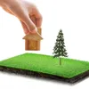 Decorative Flowers 12 Pcs Cedar Sand Table Model Tree Plant Decor Trees For Micro Landscape Miniature