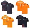 F1 Formule 1 Racing Polo Suit New Team ShortSleeved Shirt avec la même personnalisation6687797