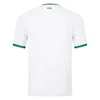 2023 24 IRLANDE National Team Mens Soccer Jerseys Duffy McClean Hendrick Collins Keane Home Away 3rd Football Shirts