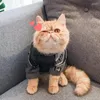 Vestuário para cães roupas gatos de animais de estimação de veludo suéter macio gatinho filhote de casaco de moda moda roupas pequenas roupas de pijamas de pijama de pelúcia de pelúcia