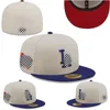 Cappelli a prezzi montuosi unisex per cappellini da baseball hip hop da baseball da baseball ad adulto cotone chiuso cappello a sede a secco logo sport da esterno a maglie chiusa