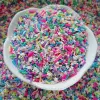 100g DIY Sümit Malzemeleri Zanaat Karışık Şeker Renkli Polimer Kil Sprinkles