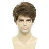 BCHR Mens Wigs Short Brown Wig Men Natural Fluffy Cosplay Costume Synthetic Mens Wig for Male Guy 240412