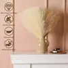 Fiori decorativi Pampas artificiale 10pcs boho decorazioni per la casa bouquet feste di nozze centrotavola accessori fai -da -te erba di canna fiore finta