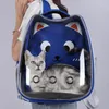 Porteurs de chats mignons grands extérieurs transportant un sac de voyage d'espace respirant portable transparent transparent porte-animal petit chiens chiot sac à dos