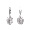 Boucles d'oreilles en peluche S925 Charmes en argent sterling goutte pour femmes Fashion ovale plan tangent cristal zircon oreille dop bijoux