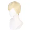 Ken Cosplay Wig Adult Men暑さ耐性合成髪のカーニバルハロウィーンコスチュームアクセサリーパーティープロップ240412