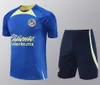 2024 2025 Club America Futbol Forması Liga MX Ev Away Üçüncü Demirlik Amerikan Aquino J.Dos Santos Kısa Kollu Eğitim Gömlek Futbol Gömlek Camisas De
