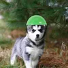 Appareil chien Cat Sécurité Ridding Rain Protection Hat pour faire du vélo à motos pour garder votre