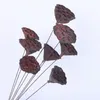 Dekoracyjne kwiaty stylowe wysuszone łodygi naturalny mini lotos sztuczny na dom domowy ozdoby DIY Dekoracja rzemieślnicza bawełna