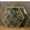 Frame Boîte de rangement en verre hexagonal Boîte de collecte de pièces de monnaie Photo Frame Spécimen support Image Frame de photo Rack Afficher le support Organisateur