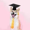 Vestuário de cachorro pet doutorado decoração de gravata conjunto de graduação em festas de puppy coliéster