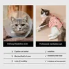 Costumi di gatto abito traspirante per la stampa del cartone animato recupero elastico banda banda da donna sterilizzata redatta regolabile