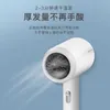 Electric Hair Dryer Mini hair dryer household hammer hot and warm ion student dormitory small power H240412