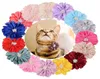 50100 PCs cães Acessórios para animais de estimação para pequenos colarinho de flor de luxo colarinho de cães de decoração de gravata borboleta Aparel3686722