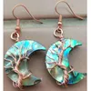 Orecchini penzolanti Abalone Zelanda Mother of Pearl Shells Oreger 1 Pair WFH1182