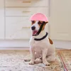 Appareil chien Cat Sécurité Ridding Rain Protection Hat pour faire du vélo à motos pour garder votre