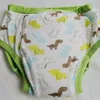 Tryckt Big Green Dinosaur Training Pant Abdl Tygblöja Vuxen Baby Diaper LoverUnderpantsNappies6940670