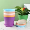 5Sizes Flower Pot Round Planteurs Color Color mini vase pour succulents Home Office Decor Planting Supplies High Quality 240409