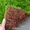 Fleurs décoratives Vie éternelle Moss Artificiel Green Plantes Mini Paysage Fake Grass Diy Artisanat Garde