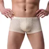 Sous-pants Transparent Lace Male Panties Coton Boxer Coton Confortable Boxer de la marque de troncs de sous-vêtements pour hommes Boîte de tronc masculin