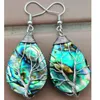 Orecchini penzolanti Abalone Zelanda Mother of Pearl Shells Oreger 1 Pair WFH1182