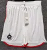 2024 2025 Flamengo Soccer Shorts Palmeiras 24 25 Flamenco Home Away Third Football Pants Fans Person