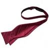 Bow Ties Men Classic Burgandry Red Silk Bowtits papillon à notes de poche.