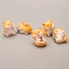 Estatuetas decorativas 5 PCs desenho animado fofo Akita cão estatueta micro paisagem decoração de casa miniatura de fadas de fadas acessórios de decoração moderna moderna