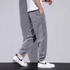 Pantalon masculin Embroderie élégante décontractée 2024 Summer mince lâche élastique Vêtements à crampons coréens Pantalons de vitalité