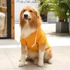 Köpek Giyim XL-5XL Büyük Boy Kış Polar Sıcak Giysiler Altın Retriever Paltosu Fermuar Cepli Pet Pet Ceket Hoodie Orta Büyük Köpekler