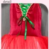 Scene Wear Child Red Ballet Dress Kids Swan Lake Performance Clothing Tutu kjol Girls Ballerina Party Dance Costume