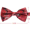 Bow Ties Men Bowtie Casual Paisley Tie