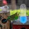 Other Bird Supplies Drinker Water Fountain Feeding Tool Parrot Food Container Feeder Cage Accessory Pet Squirrel